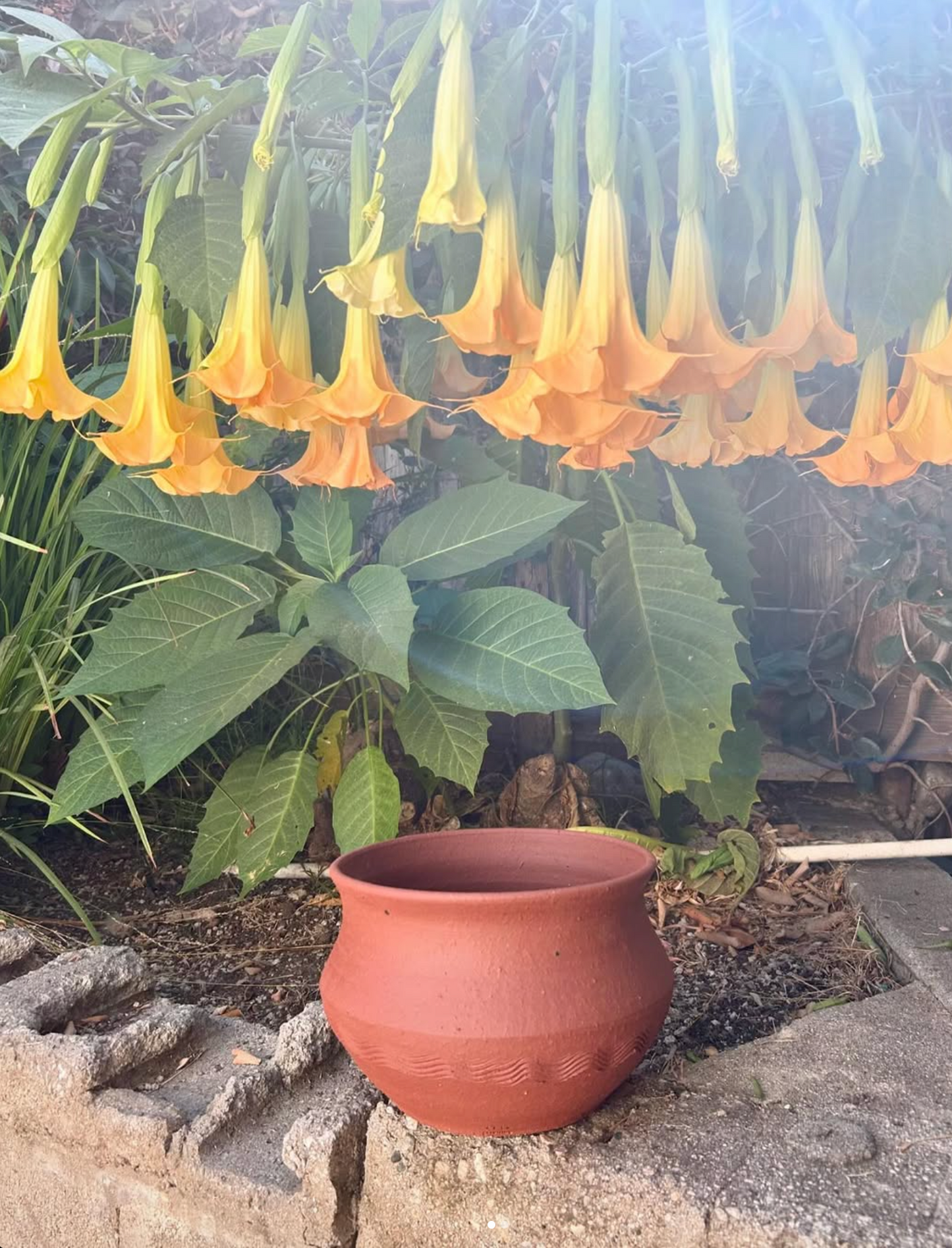 Unglazed Stoneware Planter no. 006