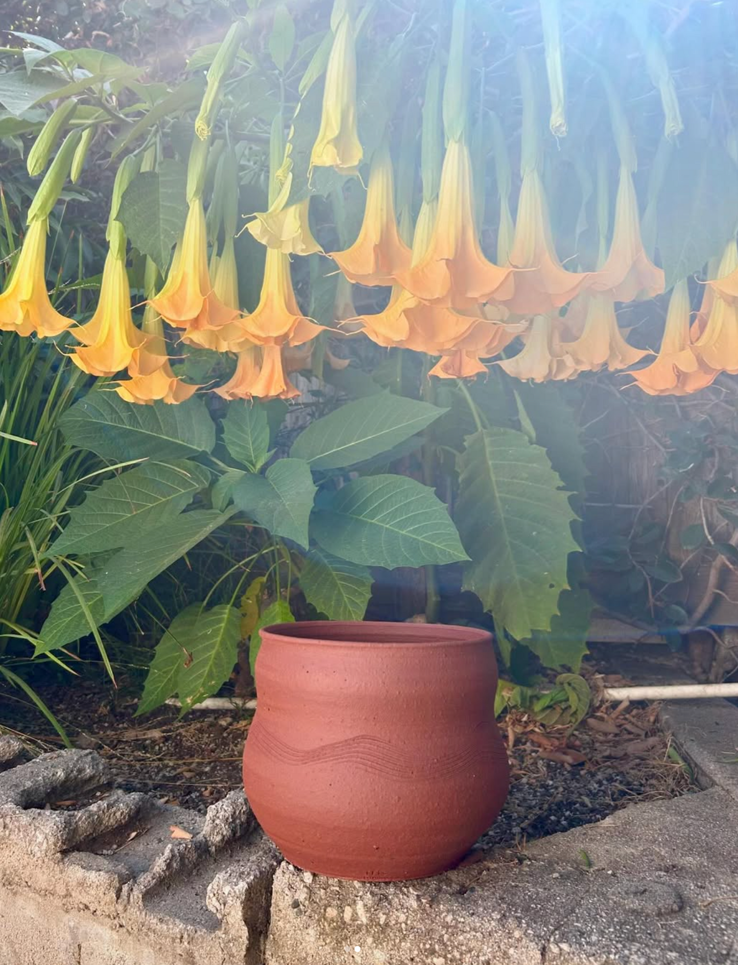 Unglazed Stoneware Planter no. 007